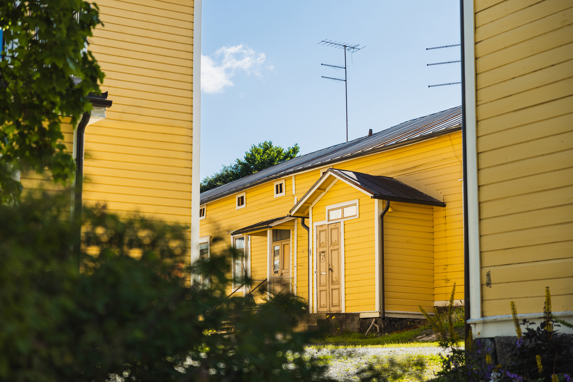 A yellow wooden house between two other houses and a shrub.