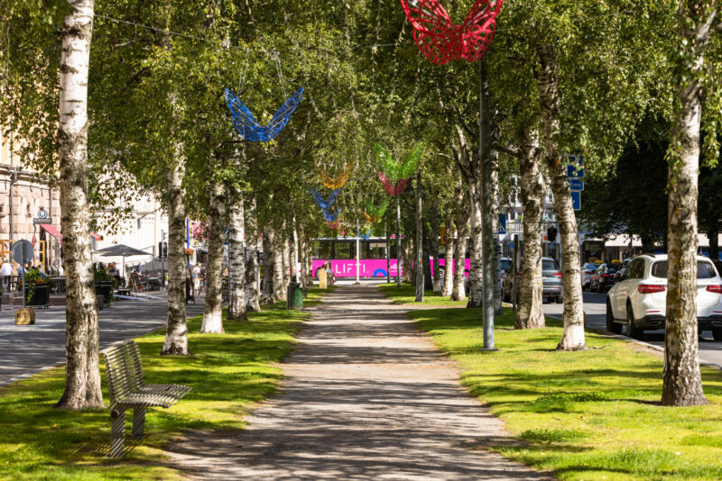 En gångväg kantad av björkar med färgglada dekorationer. En stadsbild syns i bakgrunden.