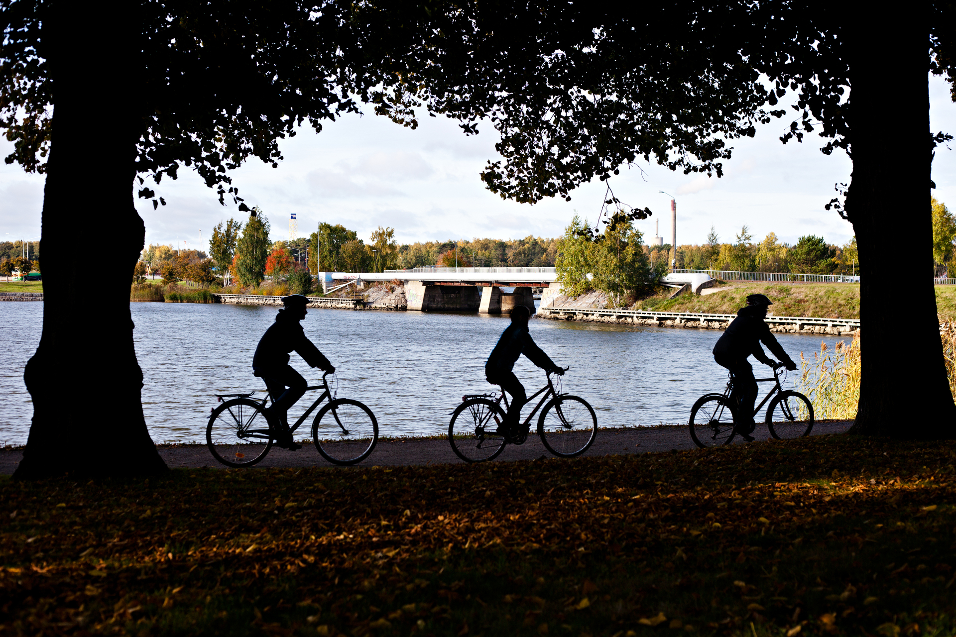 Tre cyklister cyklar längs en stig vid floden under trädens skugga.