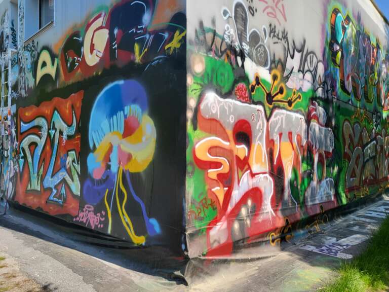 Graffiti täcker en vägg med färgglada mönster och figurer, inklusive en manet.