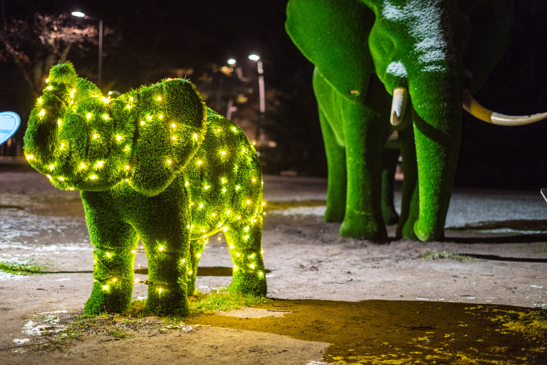 Two green topiary figures resembling elephants. They are decorated with small bright lights and are displayed at night.