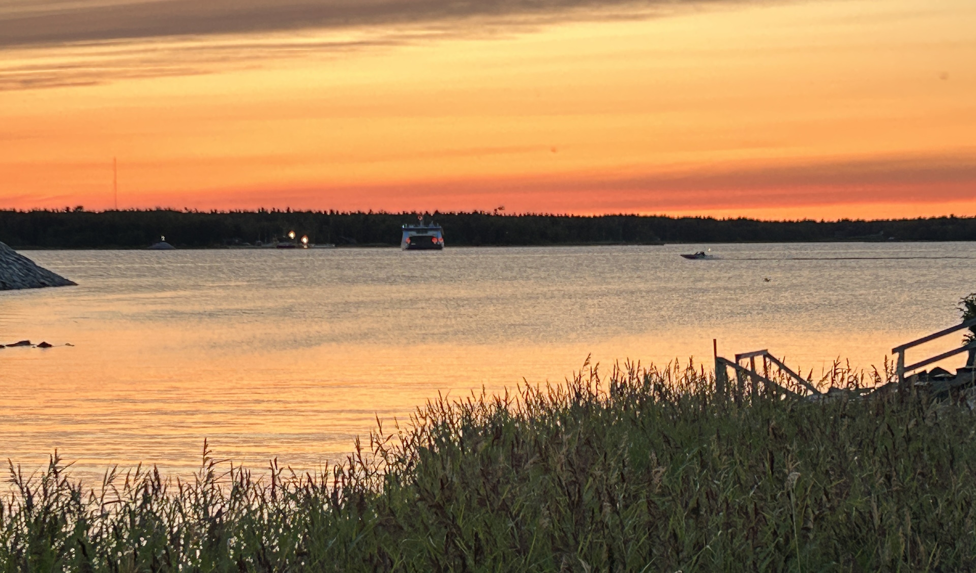 Auringonlasku meren yllä, etualalla ruovikkoa ja taustalla veneitä.