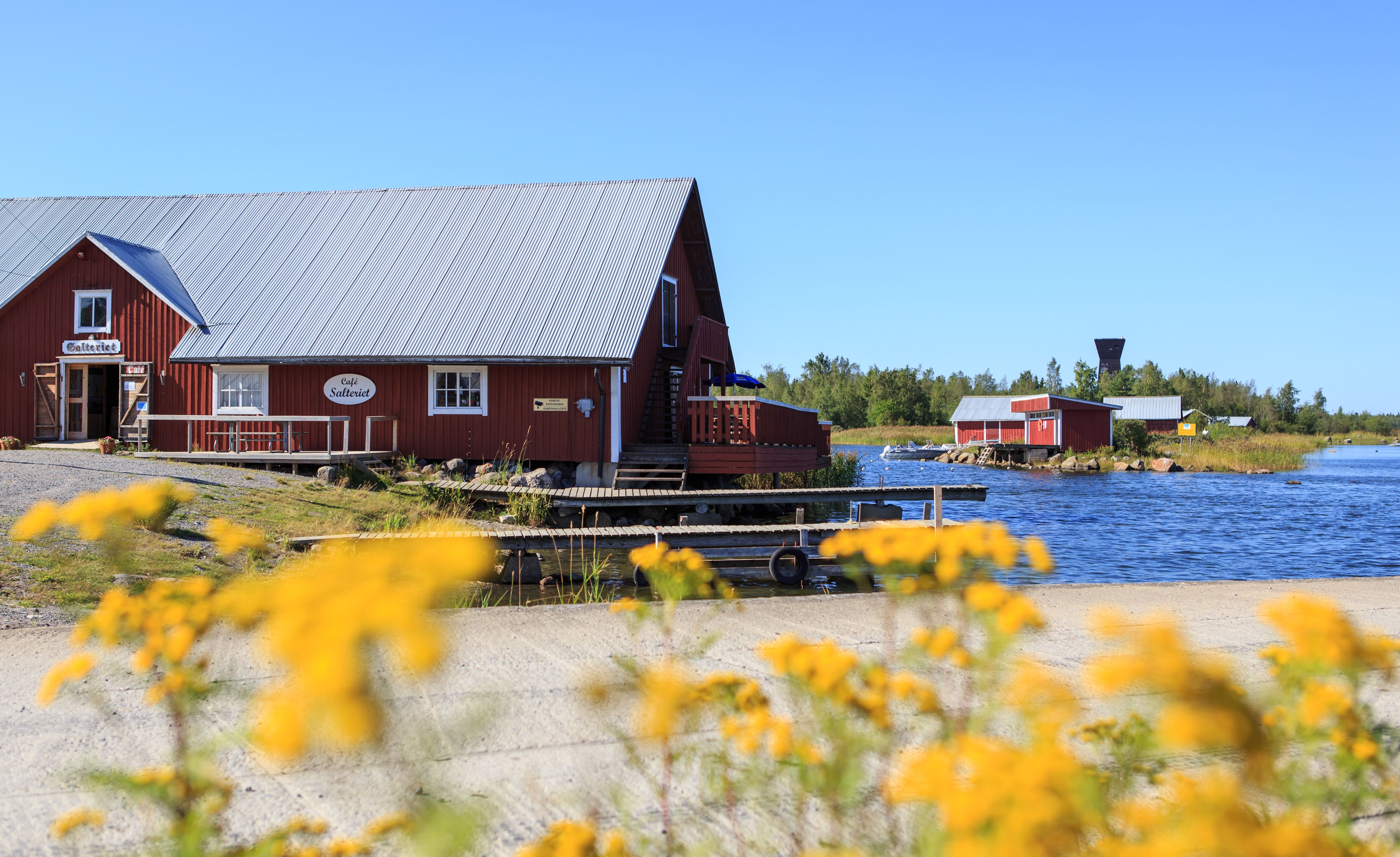 Röda trähus vid havet, med gula blommor i förgrunden.