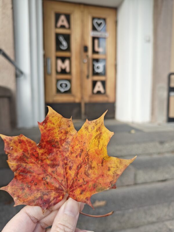 A person holds a colorful autumn leaf on the steps, with a door in the background featuring letters and symbols.
