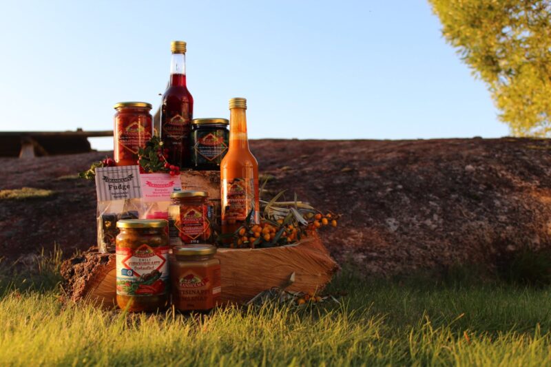 A collection of jars and bottles containing various food items, arranged outdoors on the grass.